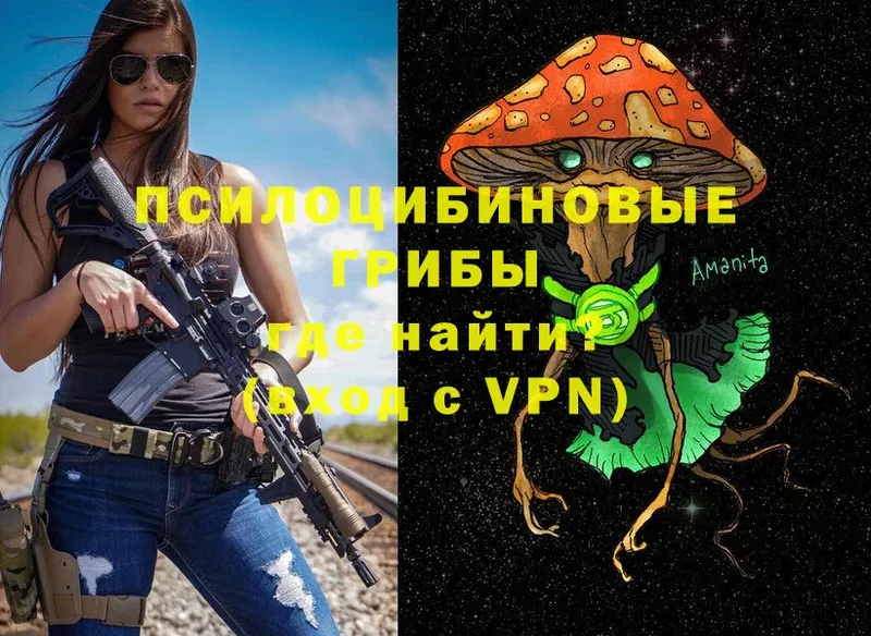 MEGA   Новое Девяткино  Псилоцибиновые грибы Psilocybe 